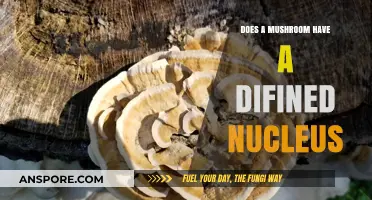 Mushroom Mystery: Nucleus Defined or Not?