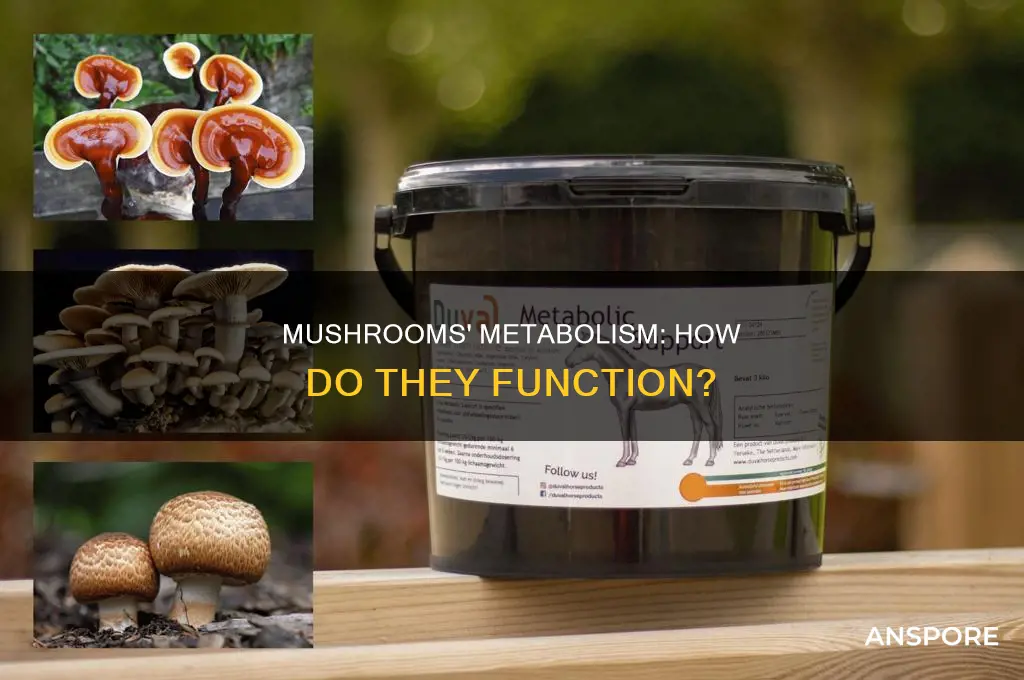 does a mushroom have a metabolism
