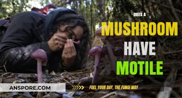 Mushroom Motility: The Intriguing Truth About Fungi