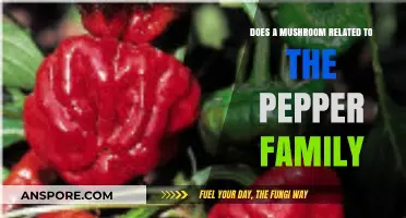 Mushrooms: Spicy Relatives or Distant Cousins of Peppers?