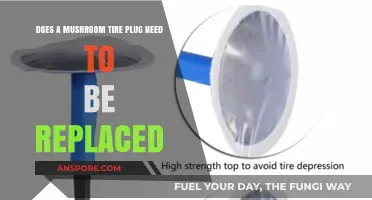 Mushroom Tire Plugs: Replace or Reuse?