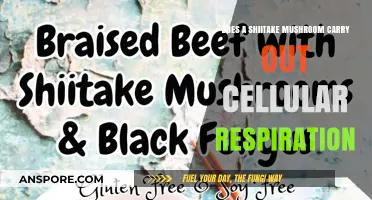 Shiitake Mushrooms: Cellular Respiration and More