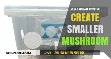 Smaller Monotub, Smaller Mushrooms?