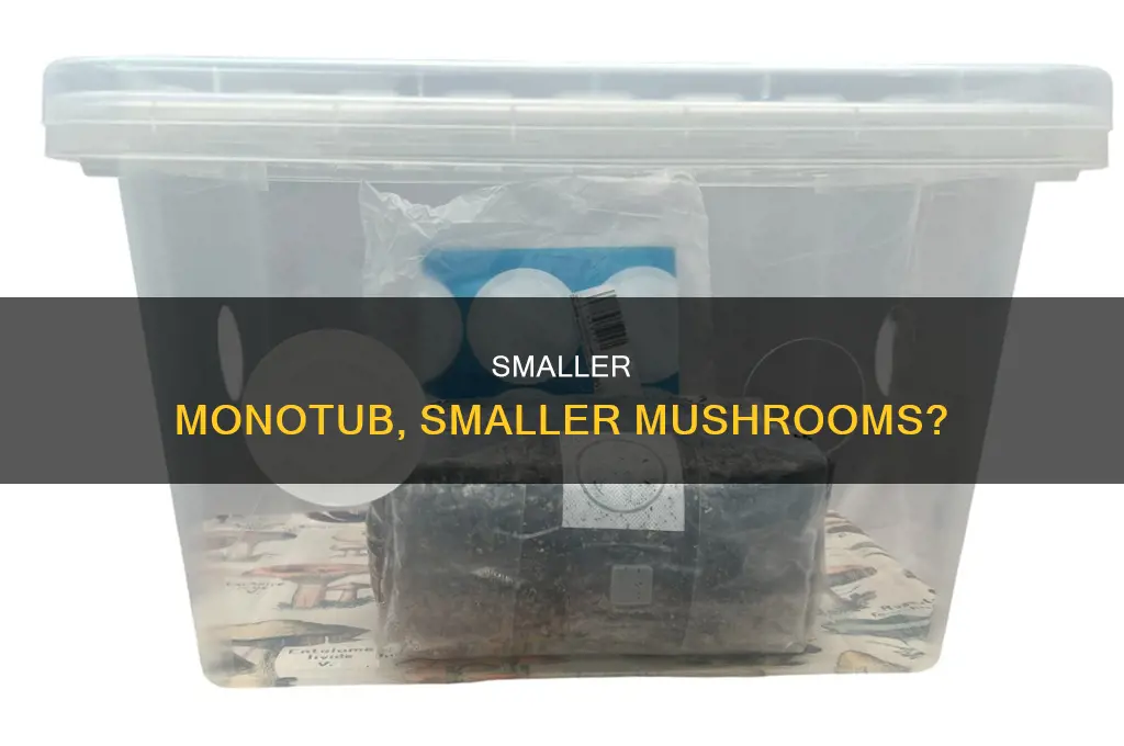 does a smaller monotub create smaller mushrooms
