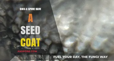 Do Spores Have Seed Coats? Unraveling Plant Reproduction Mysteries