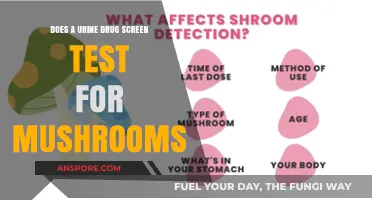 Urine Drug Screen: Can It Detect Mushroom Usage?