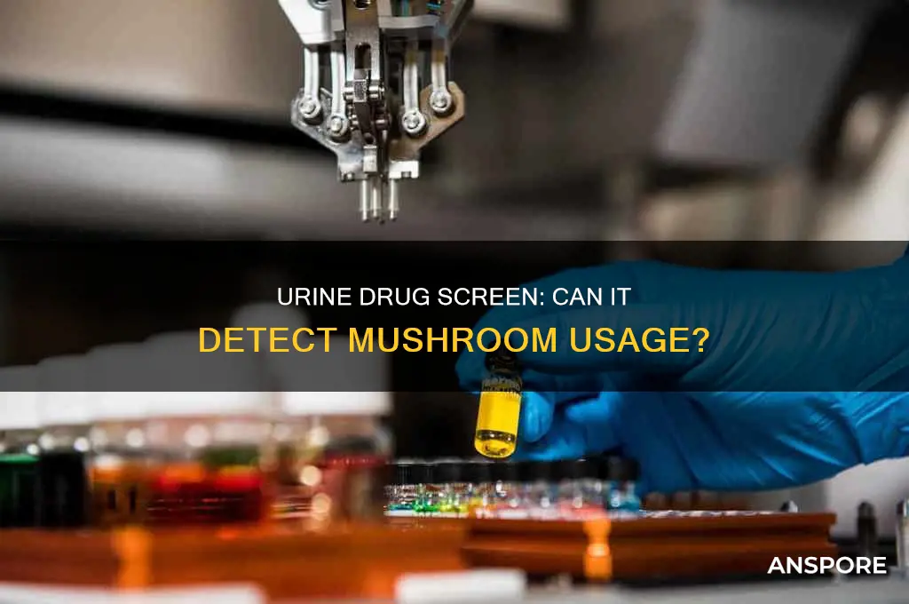 does a urine drug screen test for mushrooms