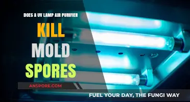 UV Lamp Air Purifiers: Effective Mold Spores Killers or Myth?
