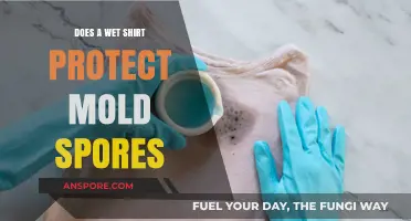 Wet Shirts and Mold: Do Damp Fabrics Shield or Spread Spores?