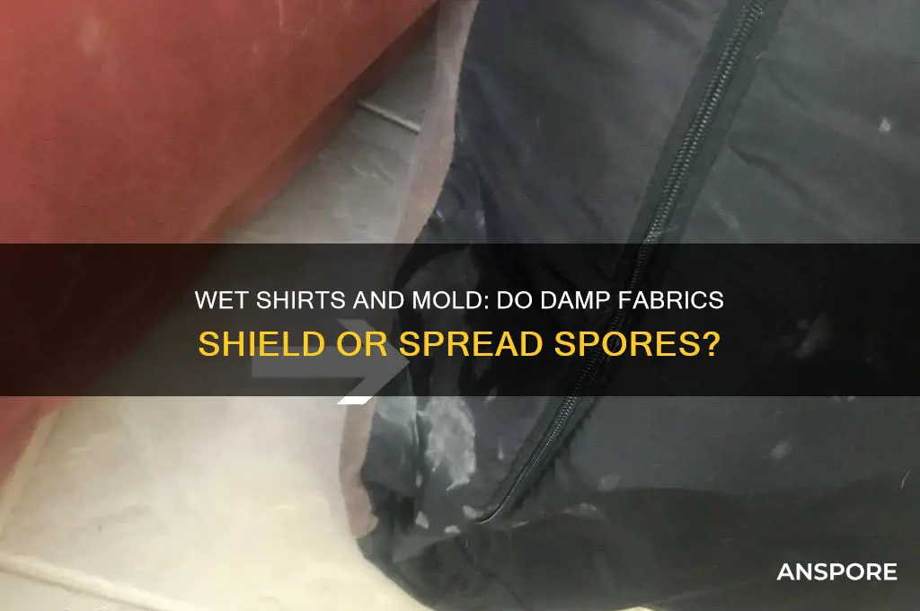 does a wet shirt protect mold spores