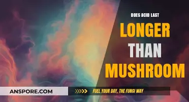 Acid vs. Mushrooms: Comparing Duration and Effects of Psychedelic Trips
