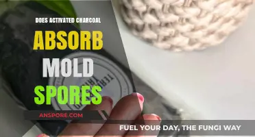 Activated Charcoal: Effective Mold Spore Absorber or Just a Myth?