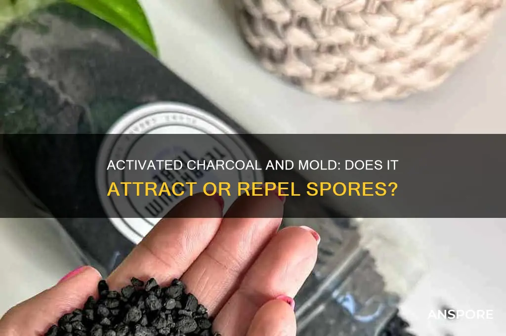 does activated charcoal attract mold spores