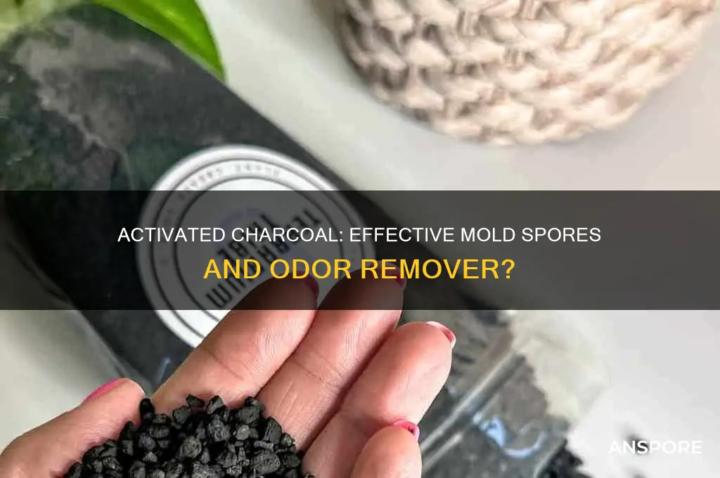 does activated charcoal work to remove mold spores and odors