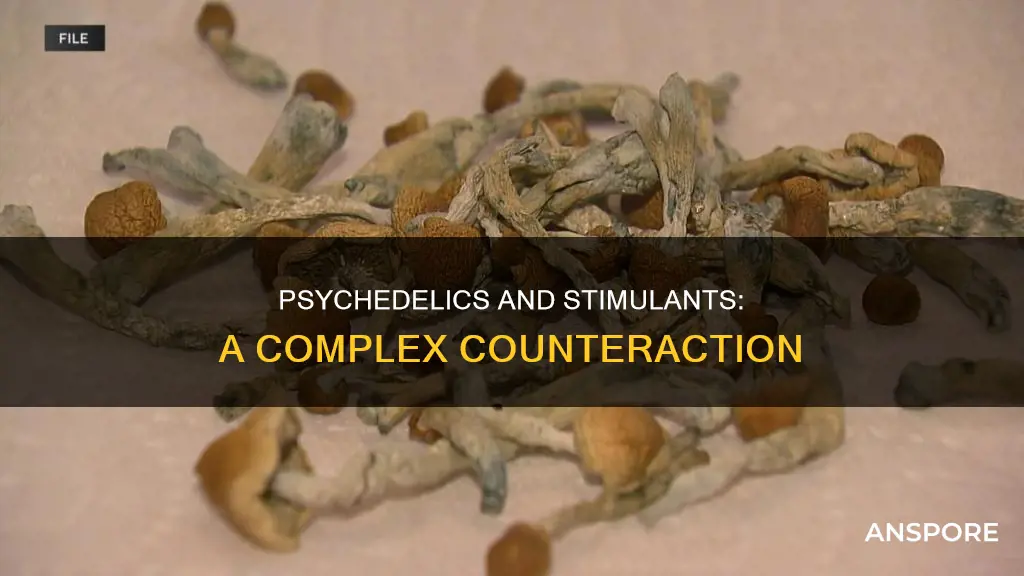 does adderall counteract mushrooms