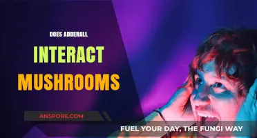 Adderall and Magic Mushrooms: A Risky Mix?