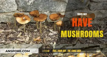 Mushroom Power: AG1's Natural Medicine