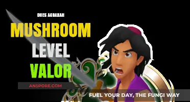 Valor in Agrabah: Mushroom Leveling