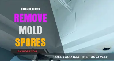 Does Air Doctor Remove Mold Spores? A Comprehensive Guide