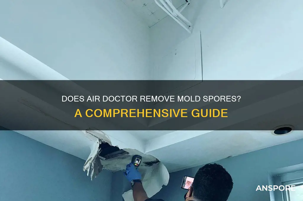 does air doctor remove mold spores