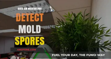 Can Air Mentor Pro Detect Mold Spores? A Comprehensive Review