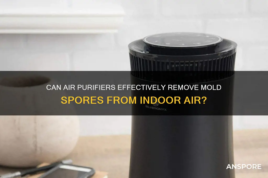 does air purifier clean mold spores