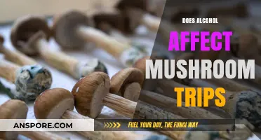 Alcohol and Shrooms: A Safe Mix?