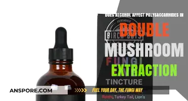 Alcohol's Impact on Double Mushroom Polysaccharides