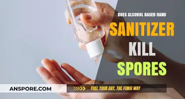 Alcohol-Based Hand Sanitizers: Effective Against Spores or Not?