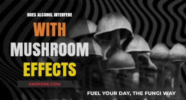 Alcohol and Shrooms: A Risky Mix?