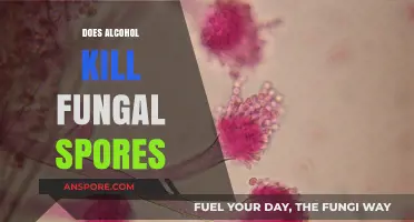 Alcohol's Effectiveness in Killing Fungal Spores: Fact or Fiction?