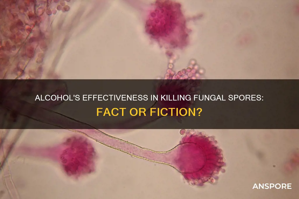 does alcohol kill fungal spores