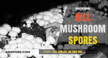 Alcohol's Effect on Mushroom Spores: Does It Kill Them?