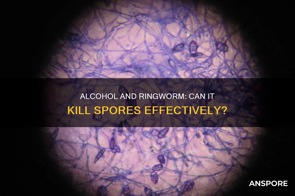 does alcohol kill ringworm spores