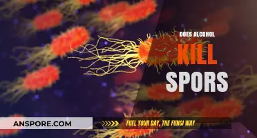 Alcohol and Spores: Debunking Myths About Its Disinfectant Power