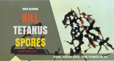 Alcohol and Tetanus: Can It Kill Spores Effectively?