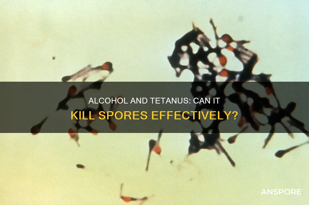 does alcohol kill tetanus spores