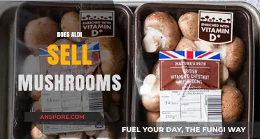 Aldi's Mushroom Offerings: Fresh Produce at Your Fingertips