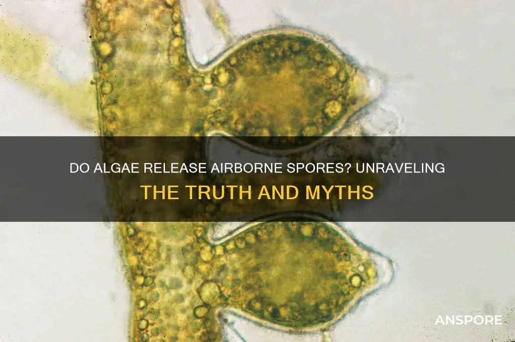 does algea have air borne spores