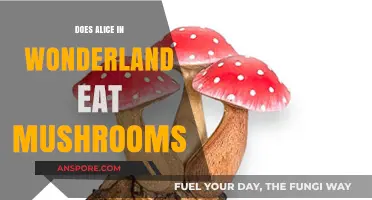 Alice in Wonderland's Mushroom Mystery: Fact or Fiction?