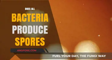 Do All Bacteria Form Spores? Unraveling Microbial Survival Strategies