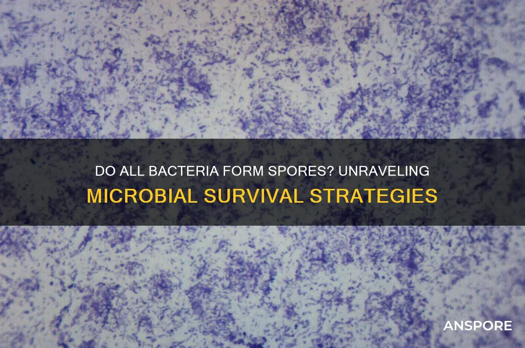 does all bacteria produce spores