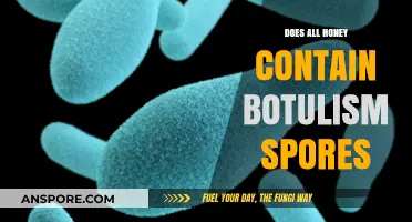 Honey and Botulism: Uncovering the Truth About Spores in Every Jar