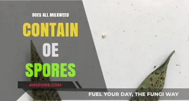 Do All Milkweed Varieties Contain OE Spores? Unraveling the Myth