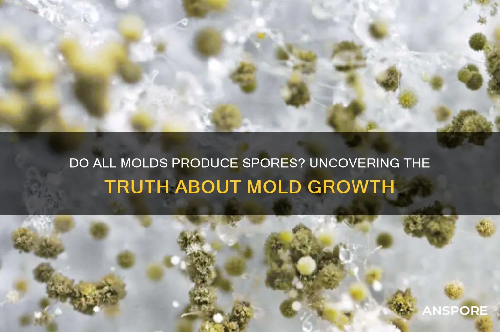 does all mold have spores