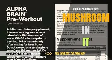 Alpha Brain's Mushroom Magic: What's Inside?