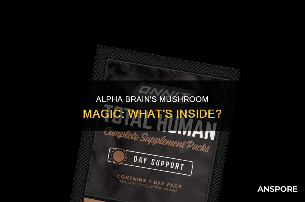 does alpha brain have mushrooms in it