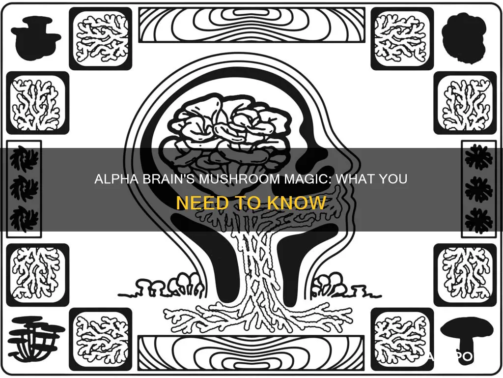 does alpha brain have mushrooms
