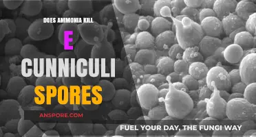 Ammonia's Effectiveness Against E. Cunniculi Spores: Fact or Myth?