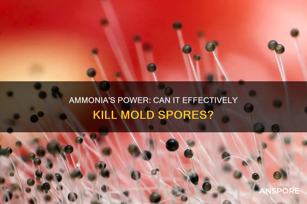 does ammonia kill mold spores